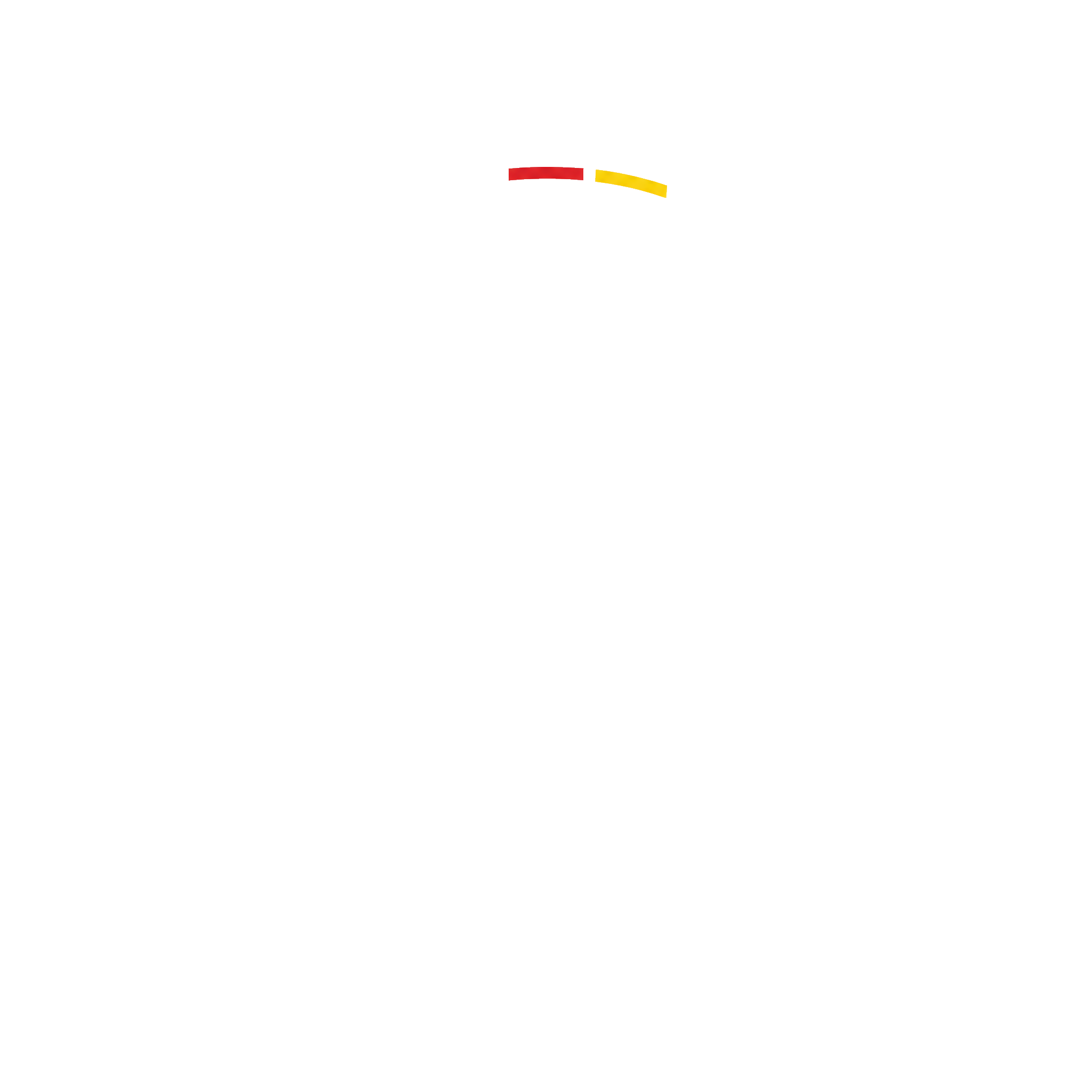 Wer Weiss Fussball